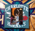 Alonzo Mourning Charlotte Hornets