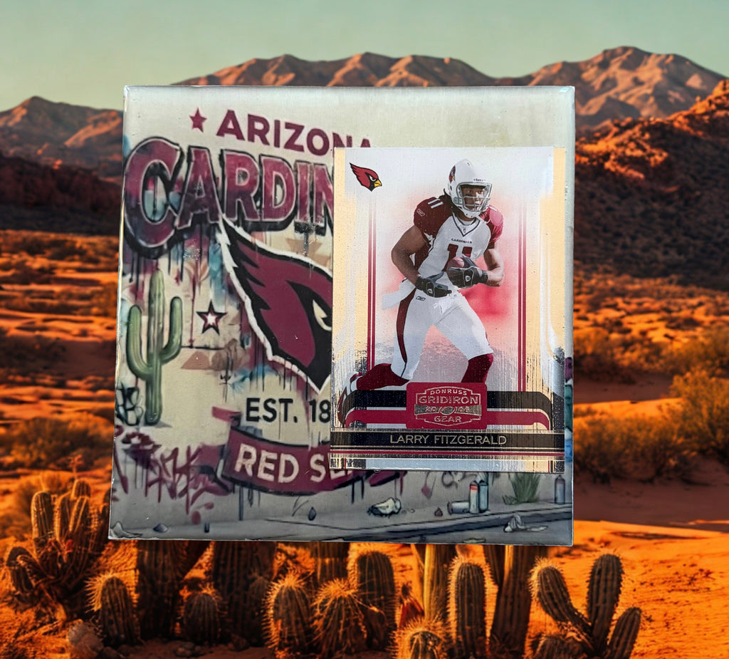 Larry Fitzgerald Arizona Cardinals
