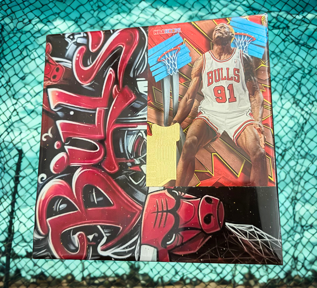 Dennis Rodman Chicago Bulls